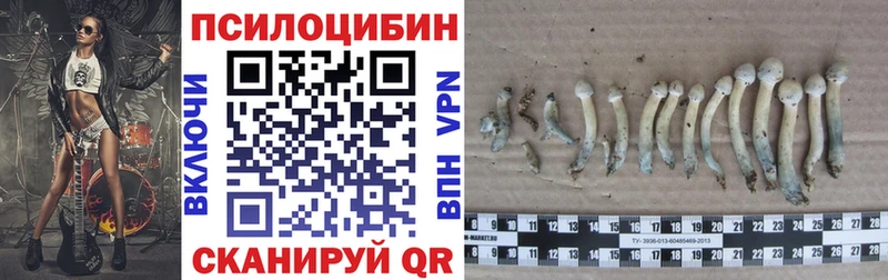 Галлюциногенные грибы мицелий  Выкса 